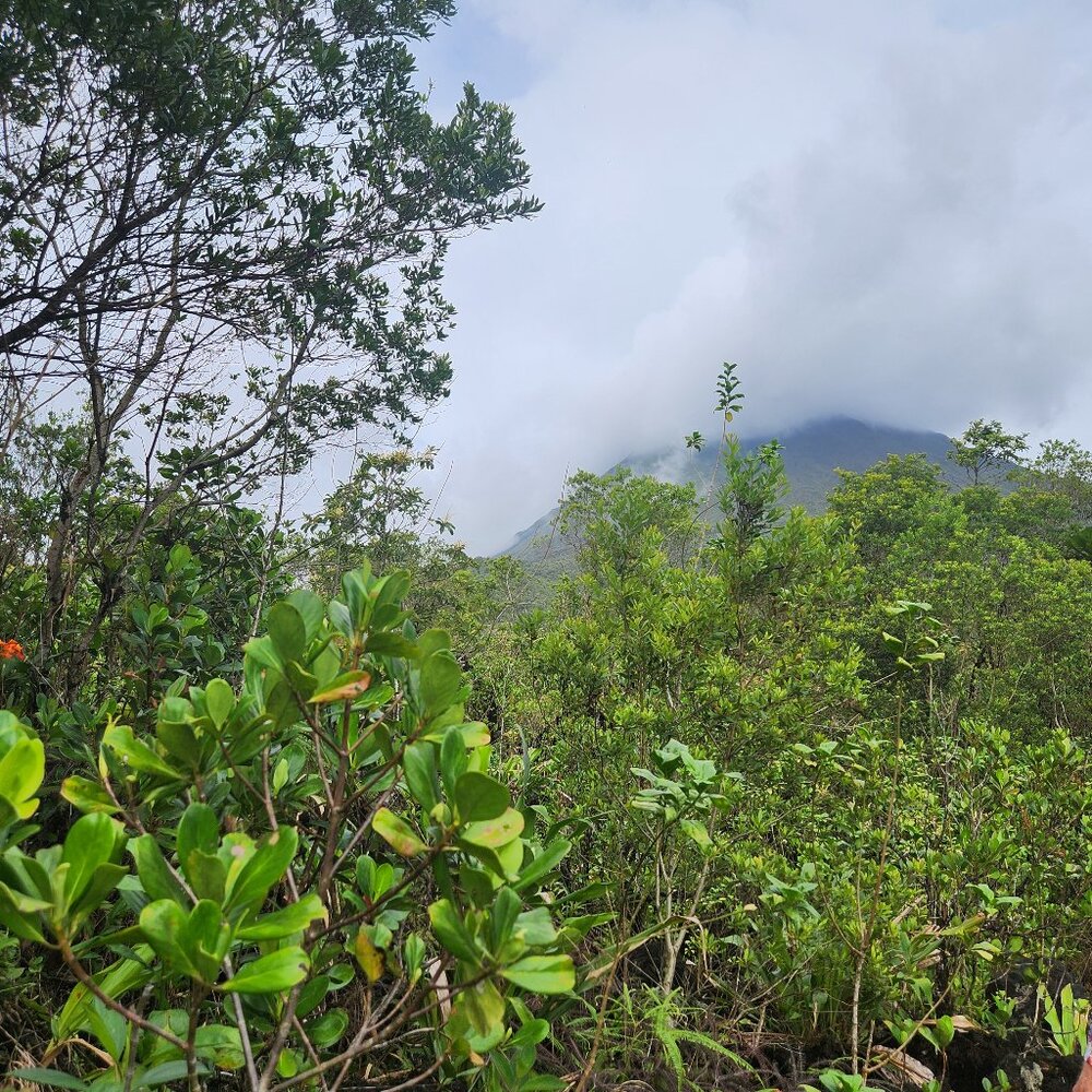Van Canucks Roberto Luonngo  Figurine